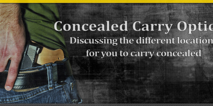 Template concealed carry location options