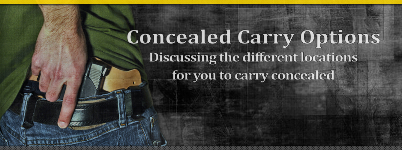 Best concealed carry options
