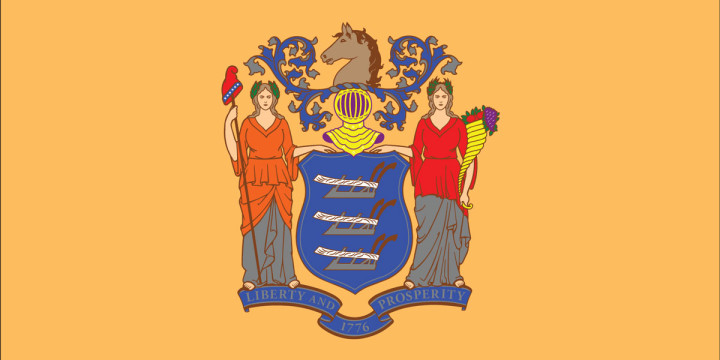 New jersey flag