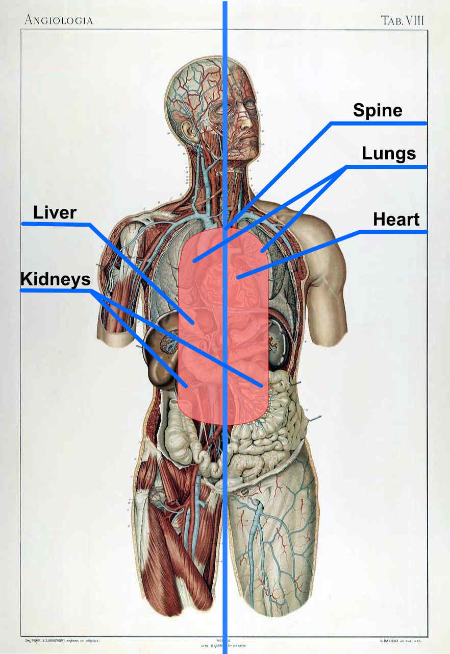 Why We Always Aim Center Mass Instead Of Limbs Or Head Concealed Nation