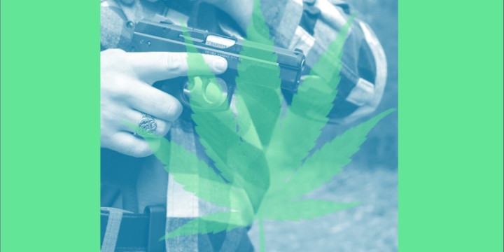 Marijuana and concealed carry