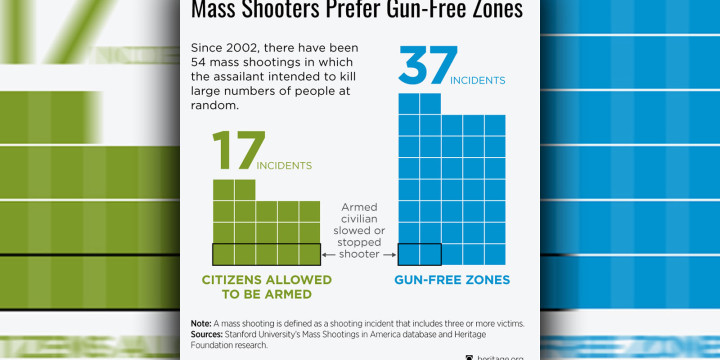 DS mass shootings