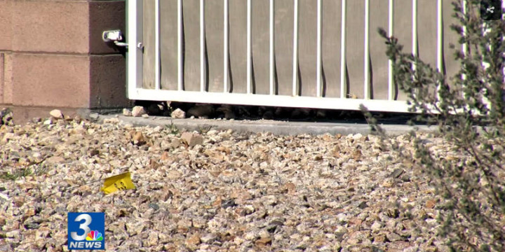Las vegas nevada doggie door