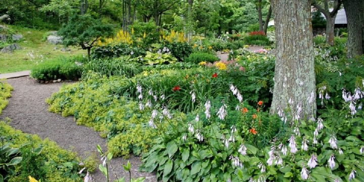 Stock garden 1