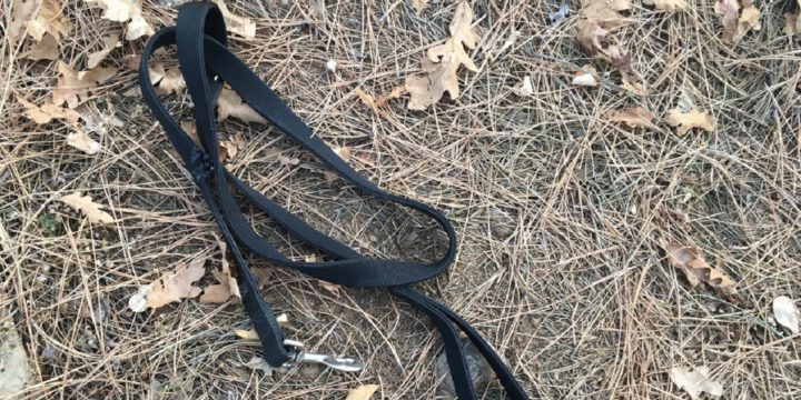 Dog leash