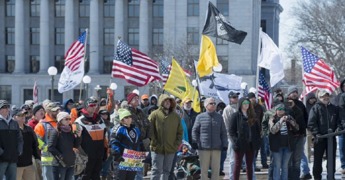 Pro gun rally