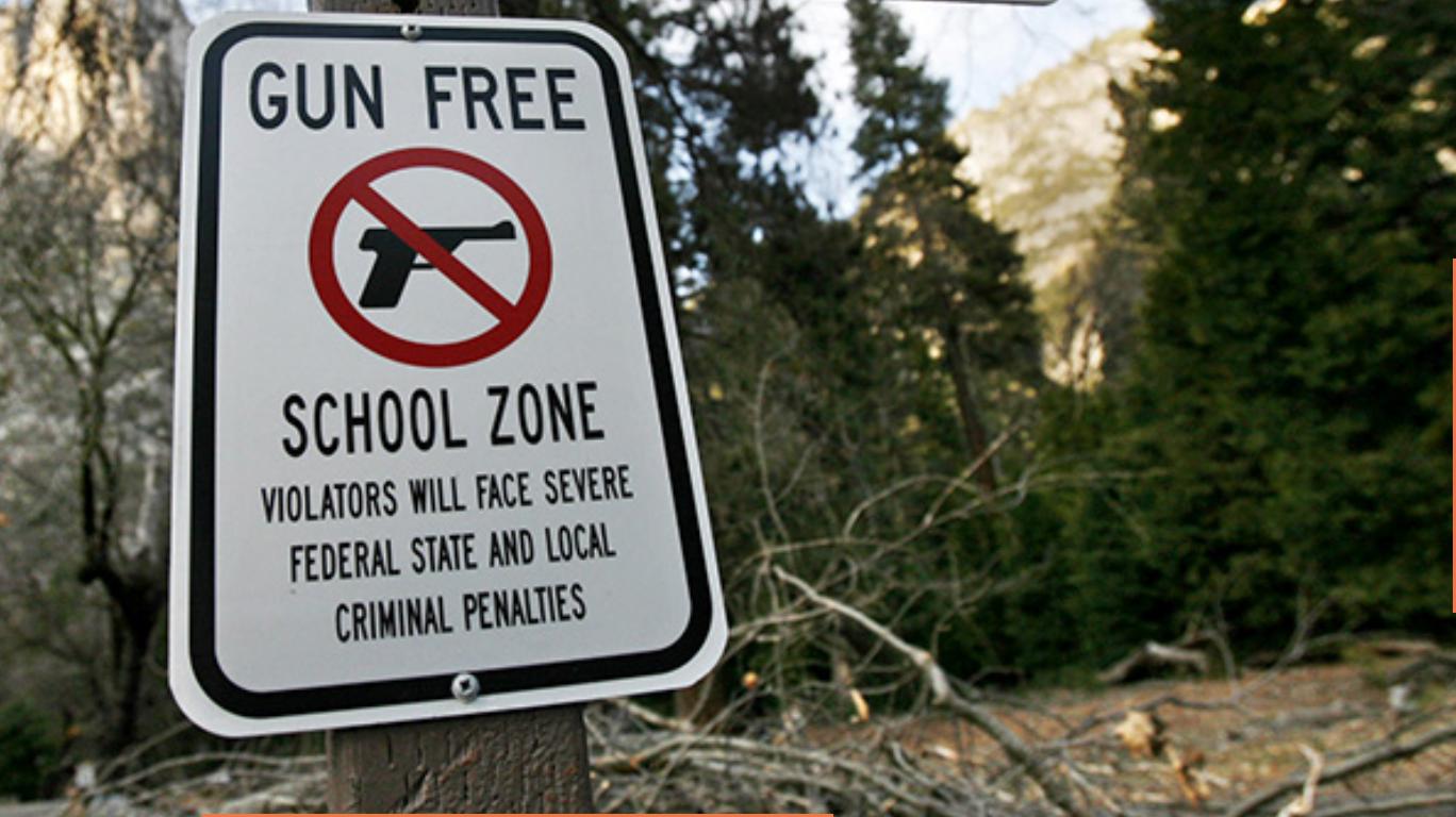 Gun free zone что это