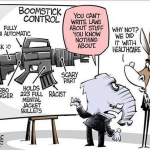 Pro 2nd Amendment Cartoons, Memes And Other Images That Are On Point ...