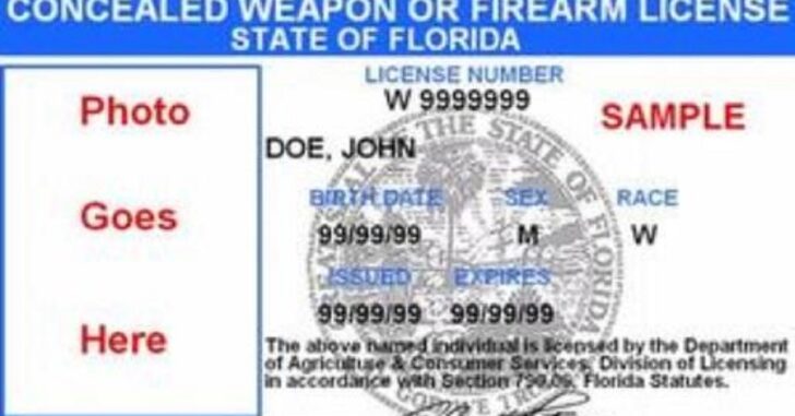 Florida Makes Headlines, Soaring Towards 2,000,000 CCW Permits