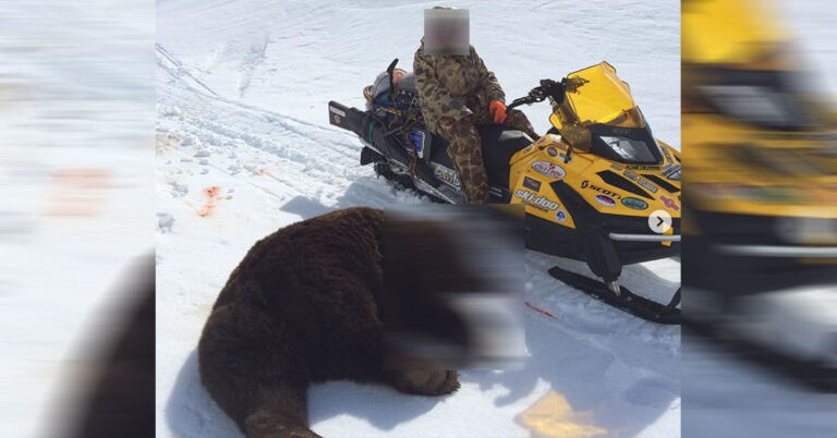 *WARNING: EXTREMELY GRAPHIC* Father Survives Horrific Bear Attack After ...