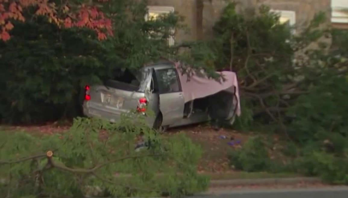 Driver Shot And Killed In Northern Philadelphia, Crashes Into Tree Near ...