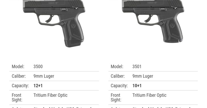 NEW: Ruger MAX-9 Aims To Compete With Hellcat And P365