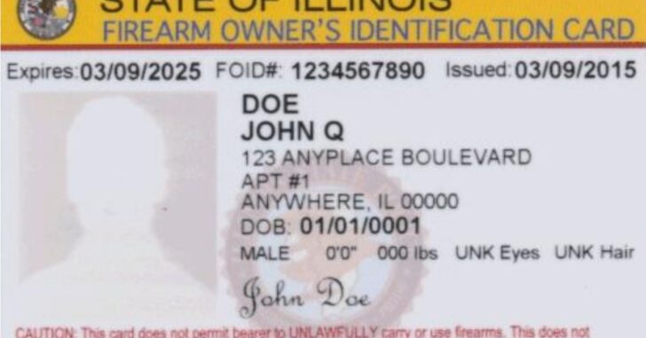Illinois Judge Rules FOID Card Requirement For Guns In Home Unconstitutional