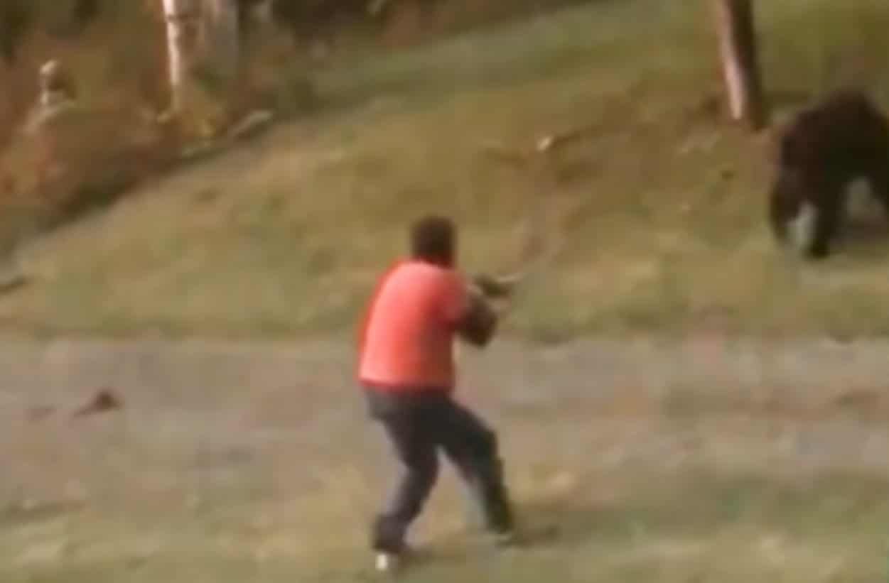 Shotgun Vs. Bear Doesn't Go According To Plan Concealed Nation