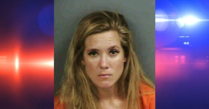 Printing Matters: FL Woman Arrested For Concealed Carry While Dropping Her Kid Off At School