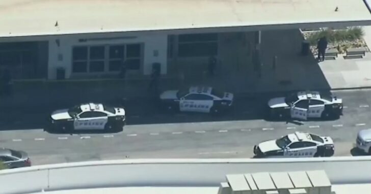 [VIDEO] Female Active Shooter Shot At Dallas Airport, No Other Injuries Reported