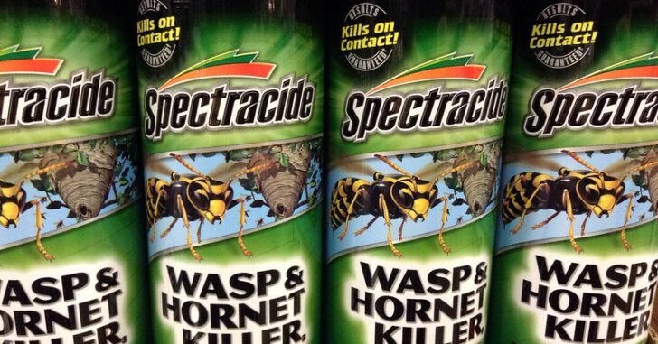 Wasp spray cans