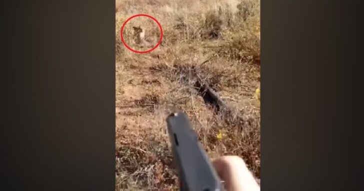 [WATCH] Pistol Carrier Stalked By Mountain Lion, Catches It All On Video