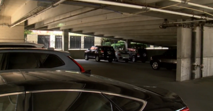 Pregnant Woman Shoots Attacker In The Neck In Parking Garage To Save Family