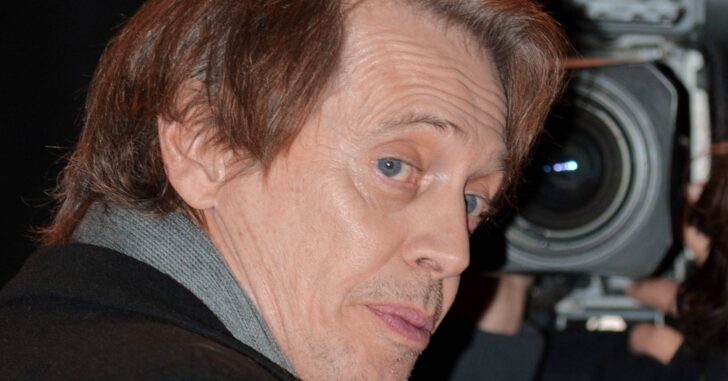 Actor Steve Buscemi Attacked in Broad Daylight in Manhattan
